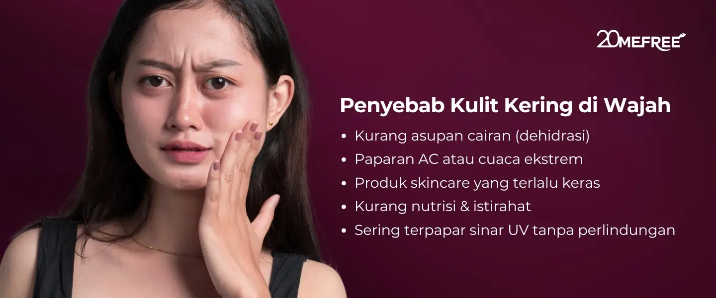 Penyebab Kulit Kering di Wajah